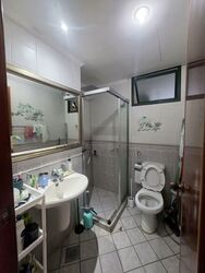 Parc Palais (D21), Condominium #539845841